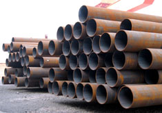 �o�p䓹�؛��չʾ